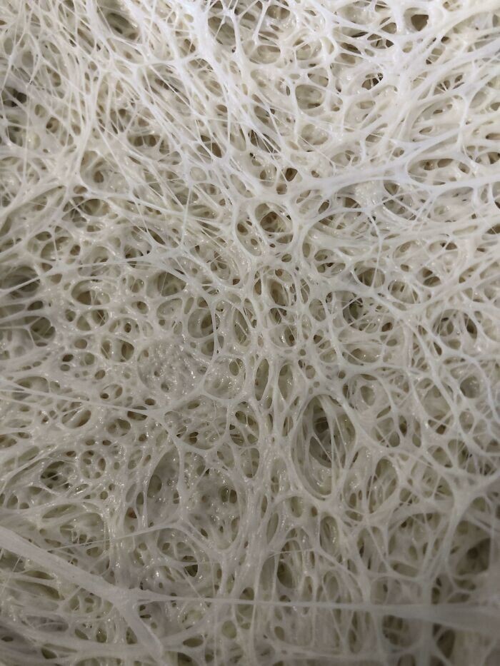 12. Тесто для пиццы