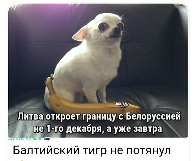 Политическая рубрика от NAZARETH за 21.11.25. Новости, события, комментарии - 1936