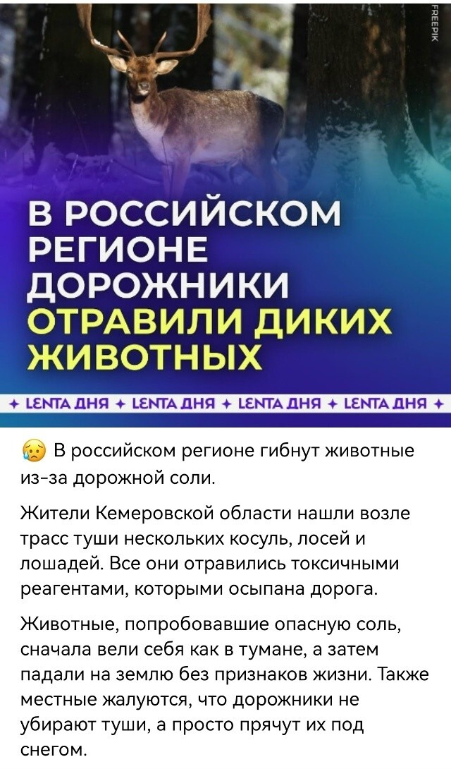 Политическая рубрика от NAZARETH за 21.11.25. Новости, события, комментарии - 1936