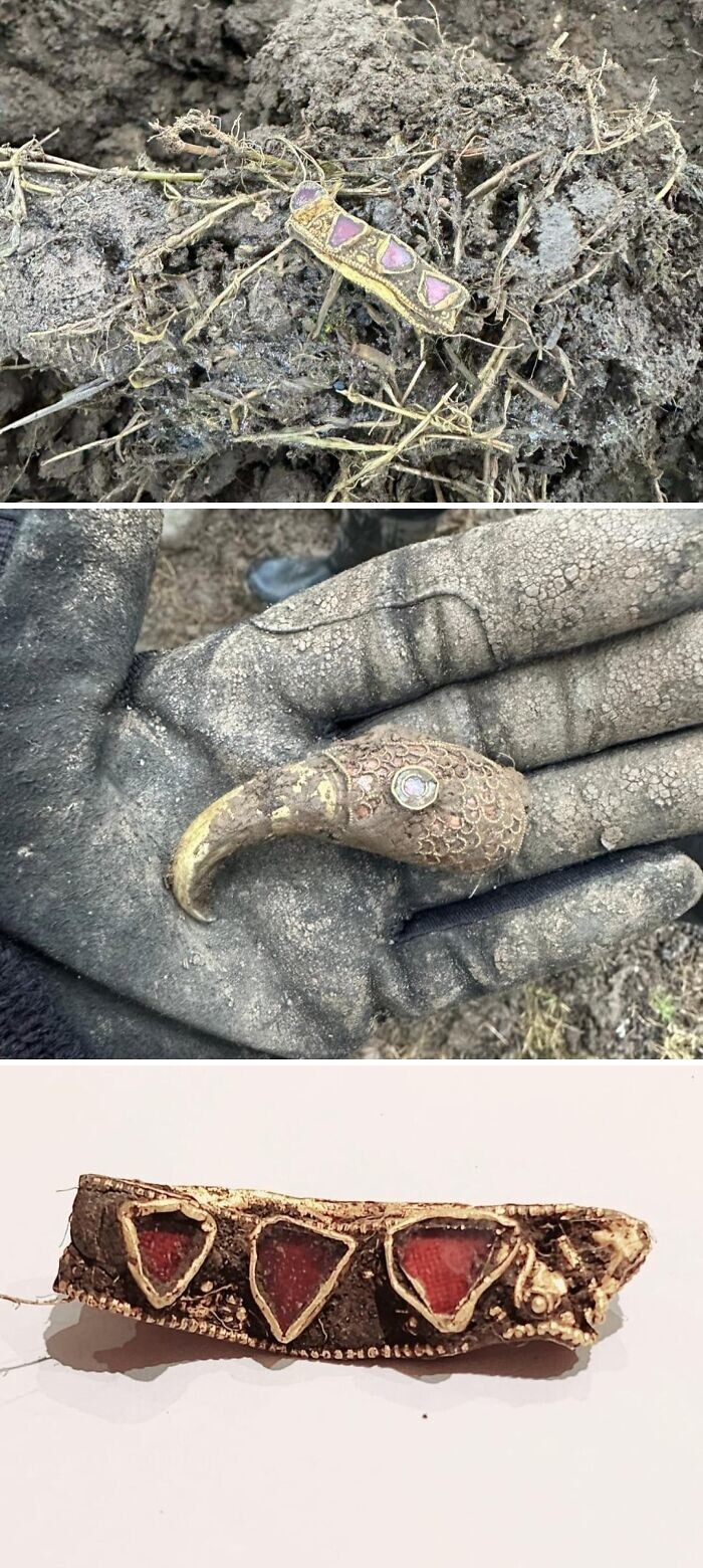 13. Мой отчим увлёкся экспедициями с металлоискателем и нашёл саксонское золото