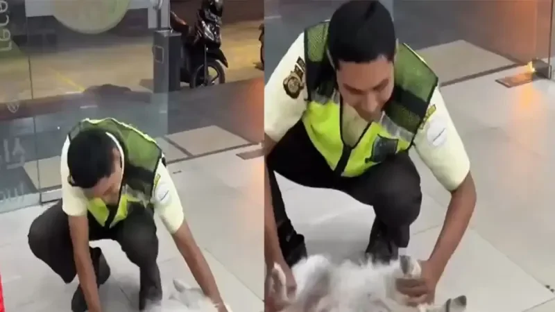 Охранник выпроваживает собаку из магазина