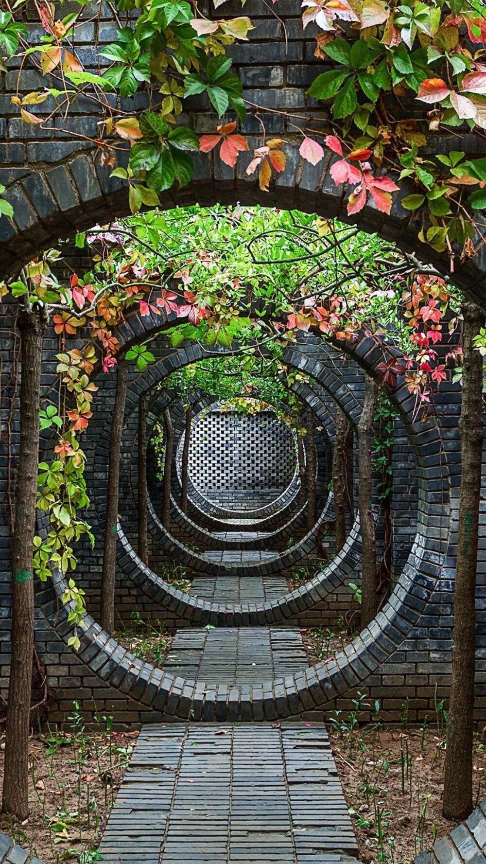 15. Завораживающая красота Японии