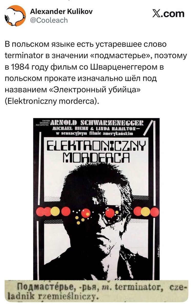 3. Для кого терминатор, а для кого подмастерье. А ещё для всего мира hasta la vista, baby, а для испаноязычных sayonara, baby