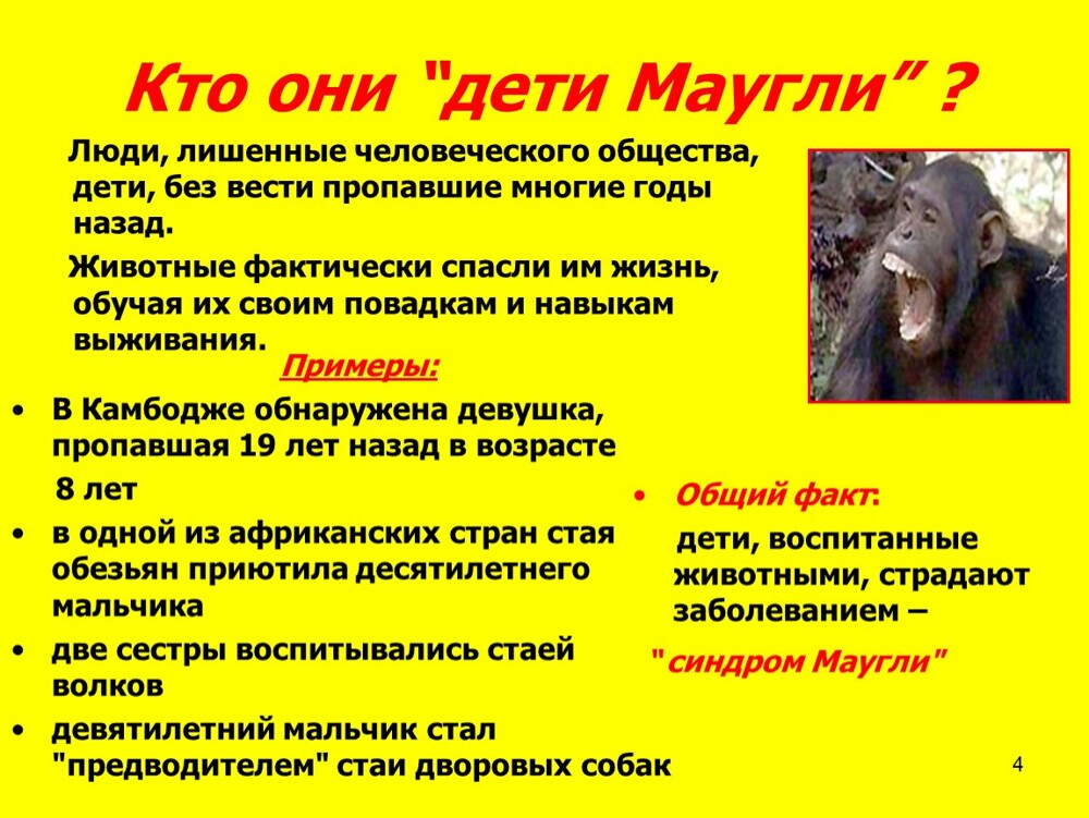 Лаяли, чирикали и рычали: что стало с российскими детьми-маугли, которых воспитали животные