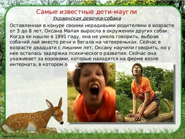 Лаяли, чирикали и рычали: что стало с российскими детьми-маугли, которых воспитали животные