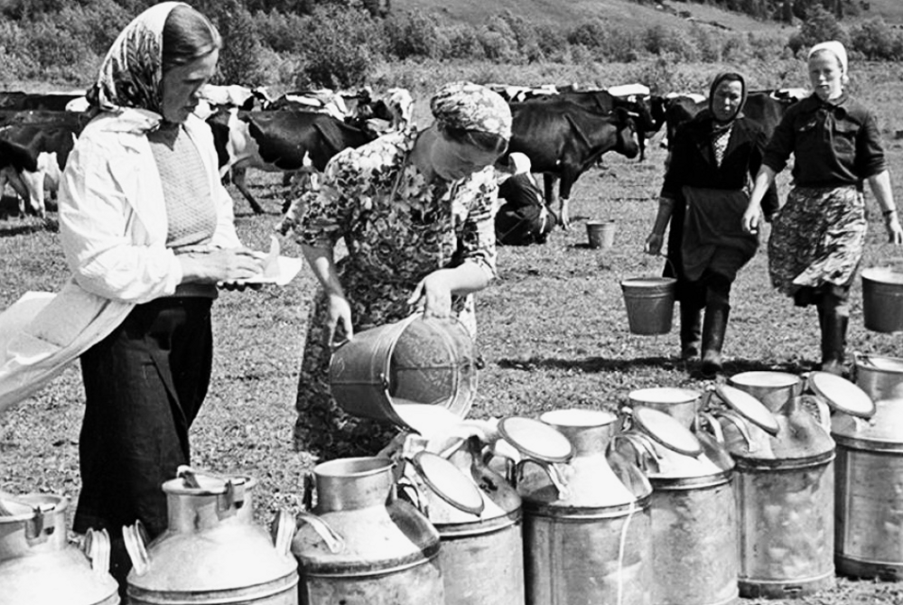 Почему в СССР было такое вкусное молоко, а сейчас не очень. Разбираемся вместе