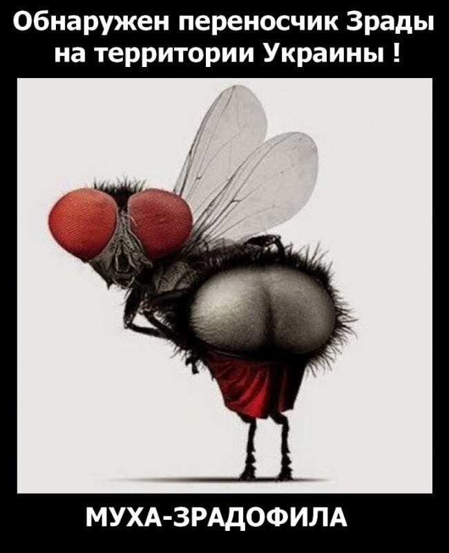 ... и вновь возвращаемся к нашим баранам ...