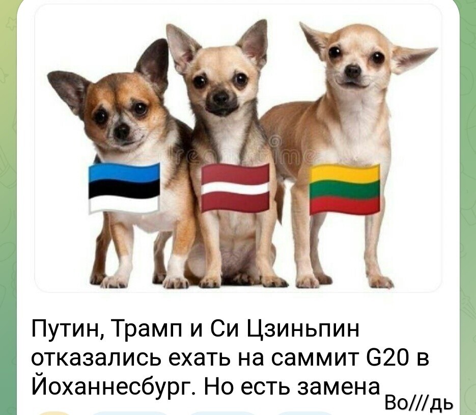 Лишь о политике и малость не только