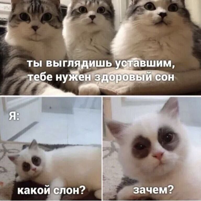 От одной банки не умрёшь, но литры убивают: что на самом деле сказал врач про энергетики