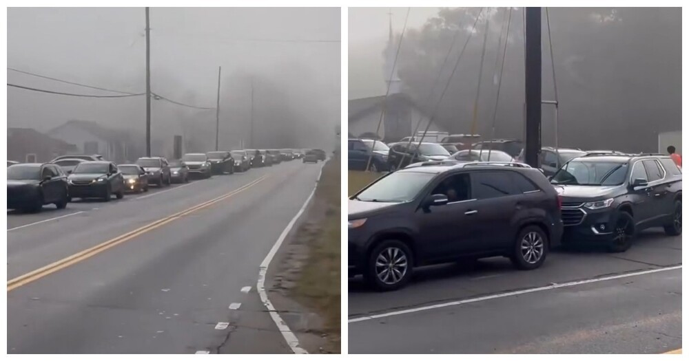 Обнаружена пробка на дороге с самым неожиданным её началом