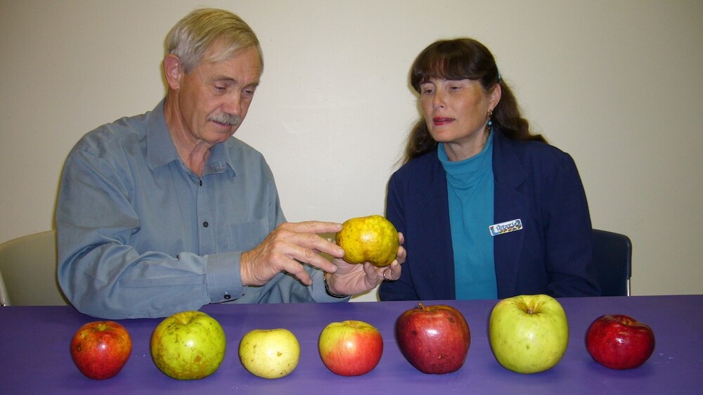 Пенсионер собрал крупнейший в мире «яблоневый ковчег»