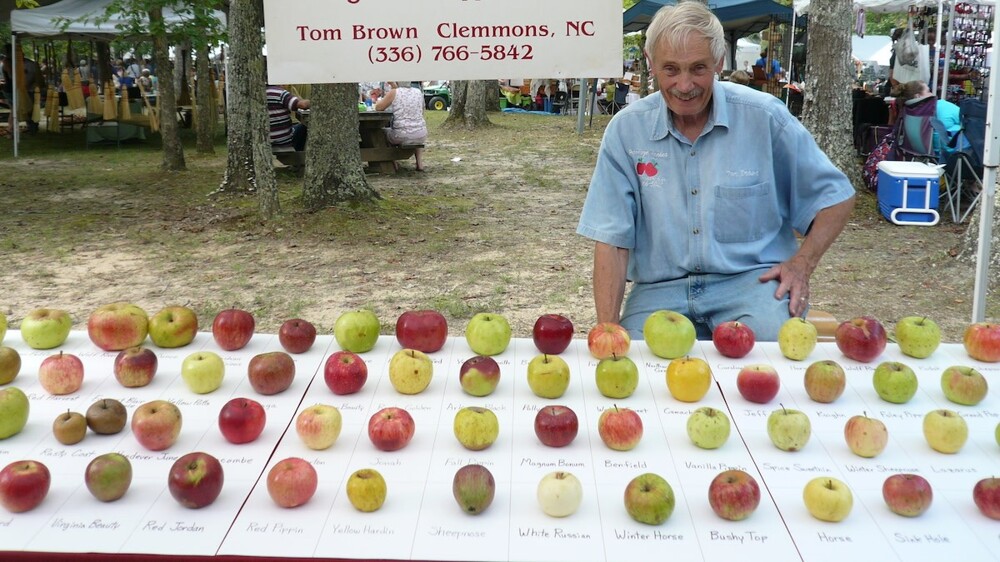 Пенсионер собрал крупнейший в мире «яблоневый ковчег»