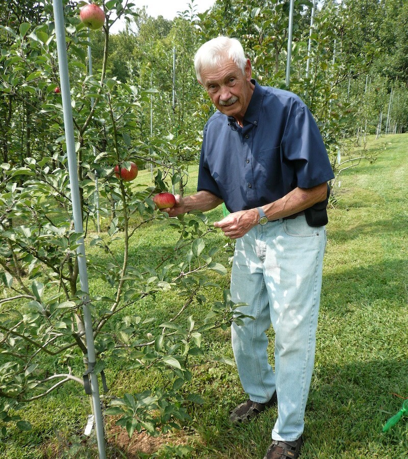 Пенсионер собрал крупнейший в мире «яблоневый ковчег»