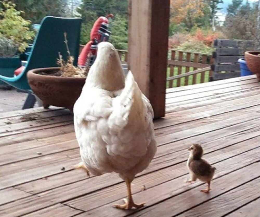 8. Мы проходим ровным кругом друг за другом