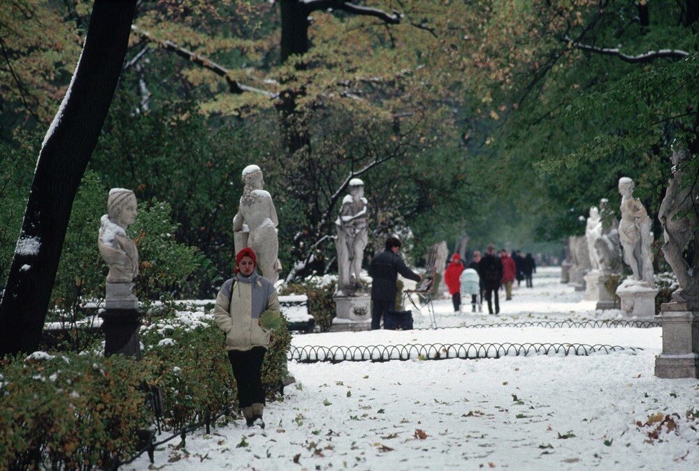 Зимний Летний сад ))