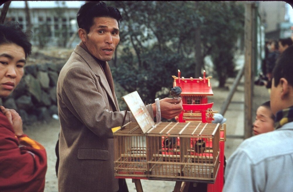 Секреты мукбанг. Как корейским видеоблогерам удается есть часами и не толстеть