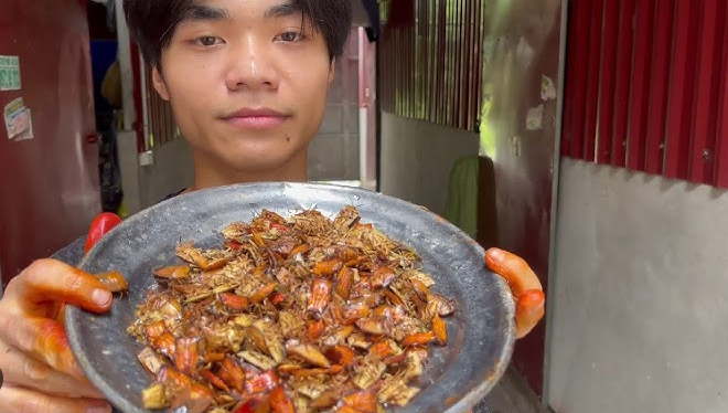 Литр за 89 рублей: масло из клопов на индийских рынках