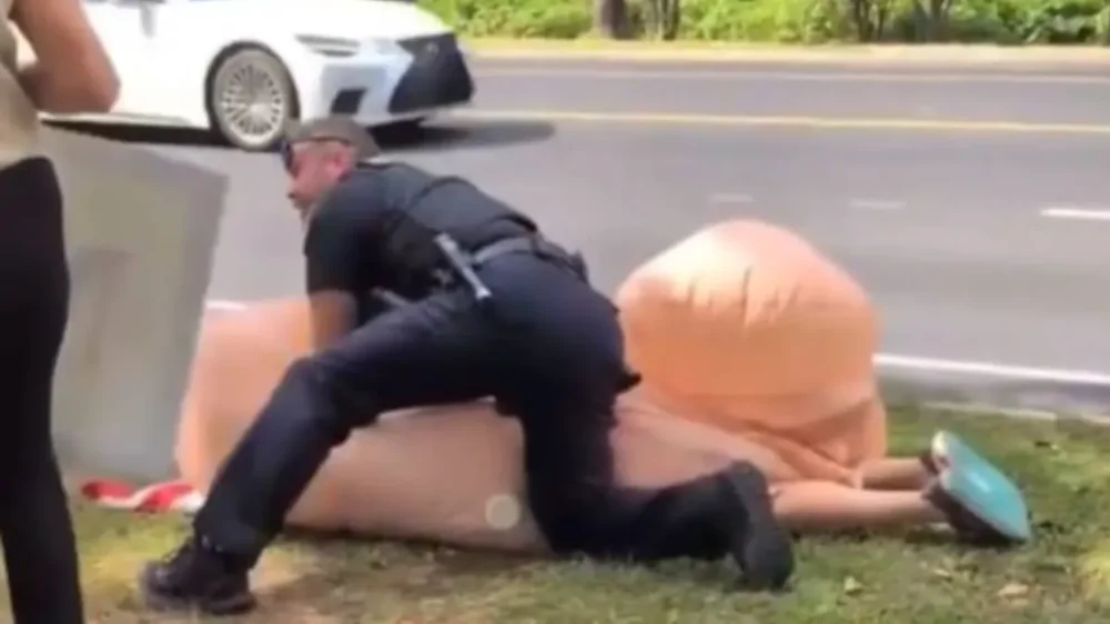 Женщина схлопотала арест за гигантский символ протеста