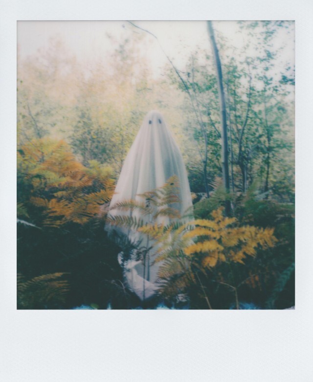 Дружелюбный призрак. Фотограф gxh1000