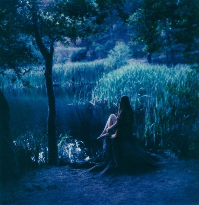 Природная идиллия. Фотограф Брэнди Фокс