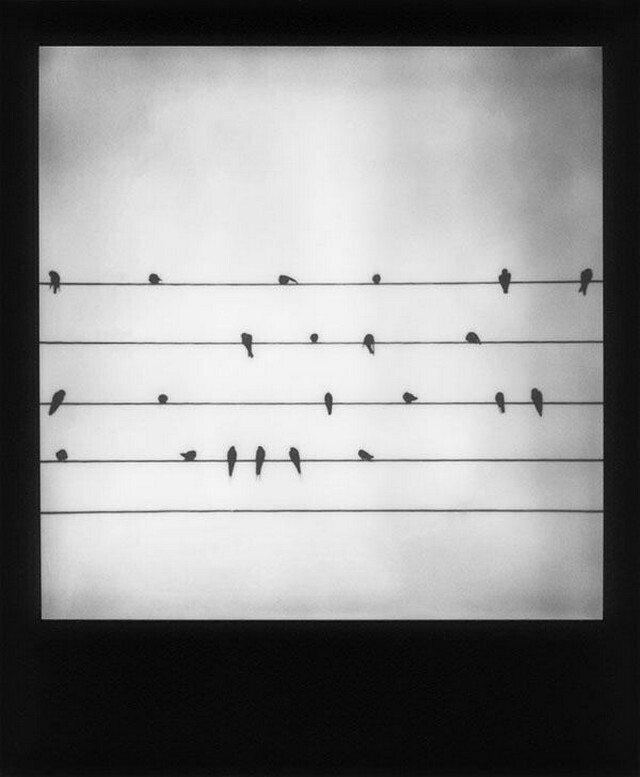 Конец летнего сезона, 2020. Фотограф Дороти Сорин