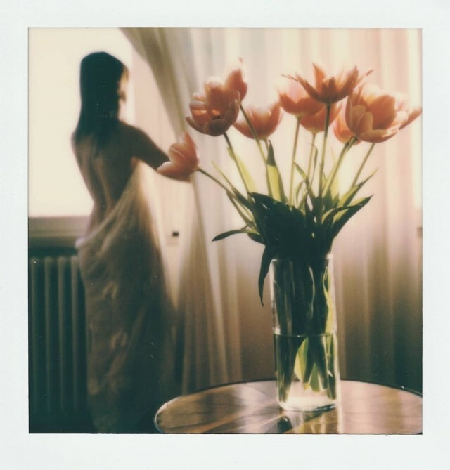 Тюльпаны. Фотограф Паоло Ферруззи