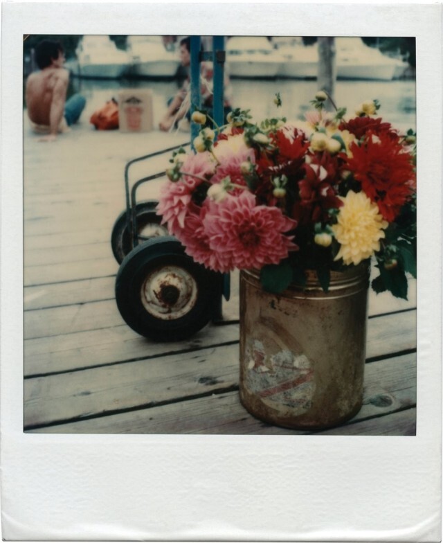 Букет. Фотограф Том Бьянчи