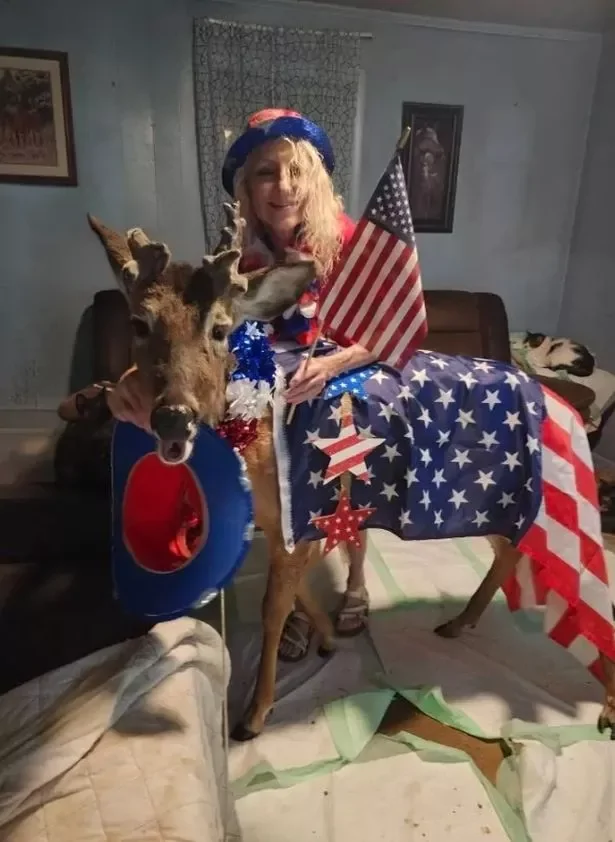 Олень убил спасшую его бабушку