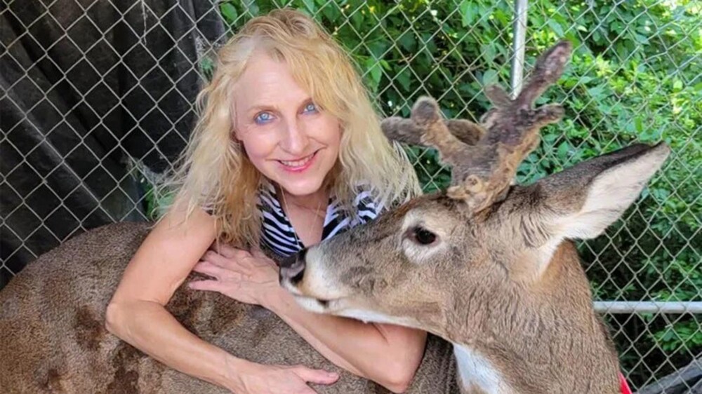 Олень убил спасшую его бабушку