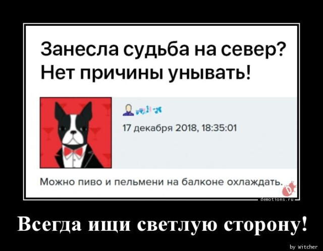 Демотиваторы дня: «Всегда ищи светлую сторону!»