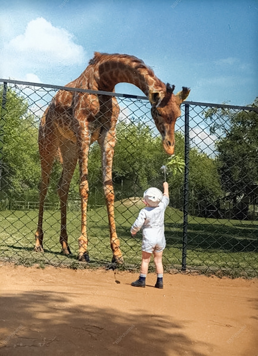Жизнь Советской Москвы в 40-е годы