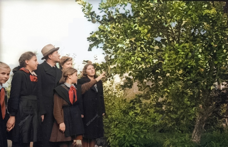 Жизнь Советской Москвы в 40-е годы