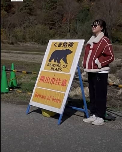 Япония тестирует «лающие дроны», чтобы отгонять медведей от людей