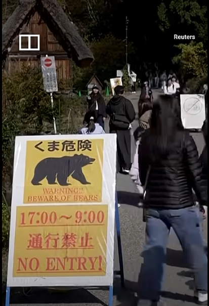 Япония тестирует «лающие дроны», чтобы отгонять медведей от людей