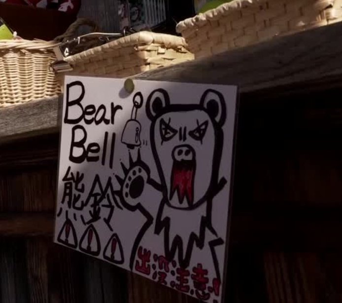 Япония тестирует «лающие дроны», чтобы отгонять медведей от людей