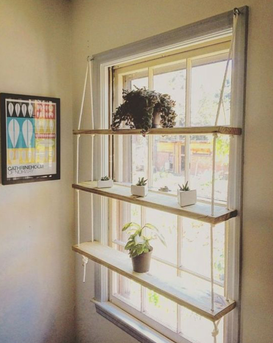 Идеальное место для цветов, которым необходимо много света