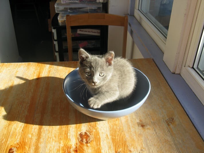 13. Солнечное настроение