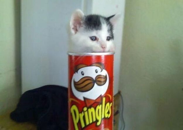 17. Не грусти, похрусти