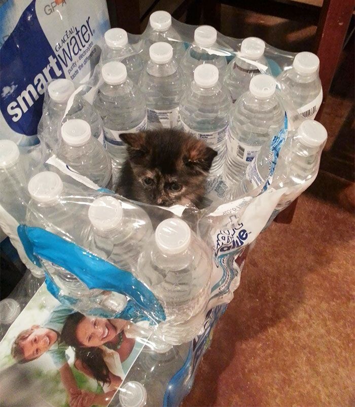 15. Как я здесь оказался?