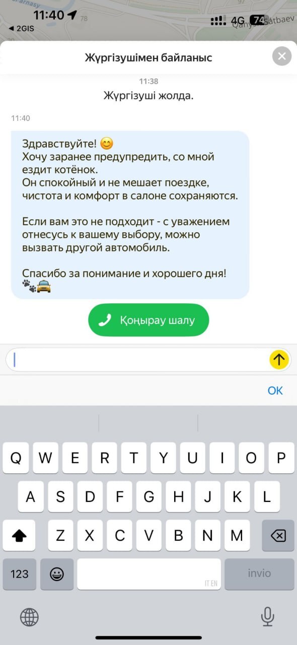 Тариф котокомфорт: к девушке приехал таксист с котёнком