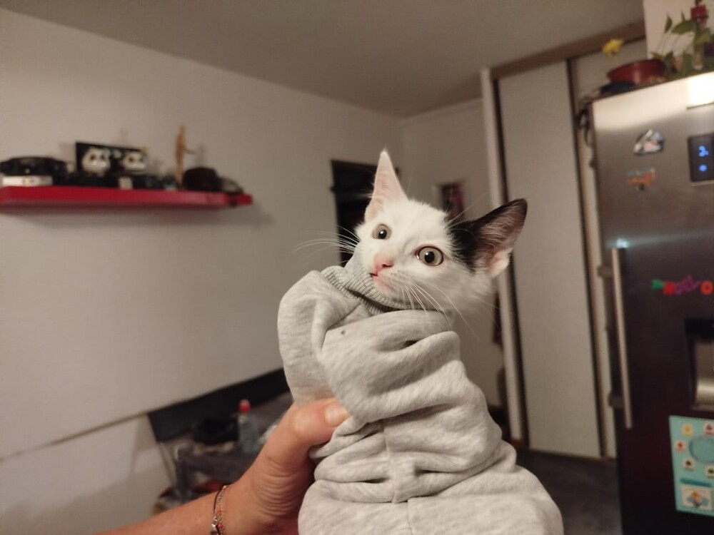 16. Застрял в рукаве