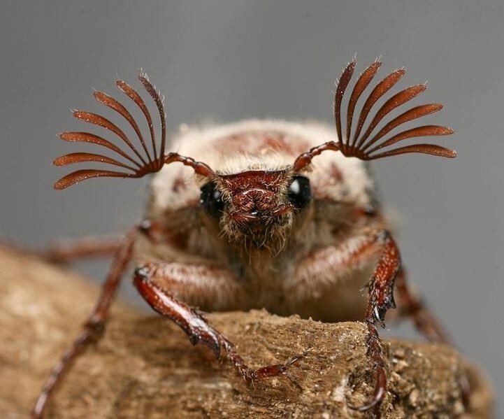 21. Эти глаза напротив