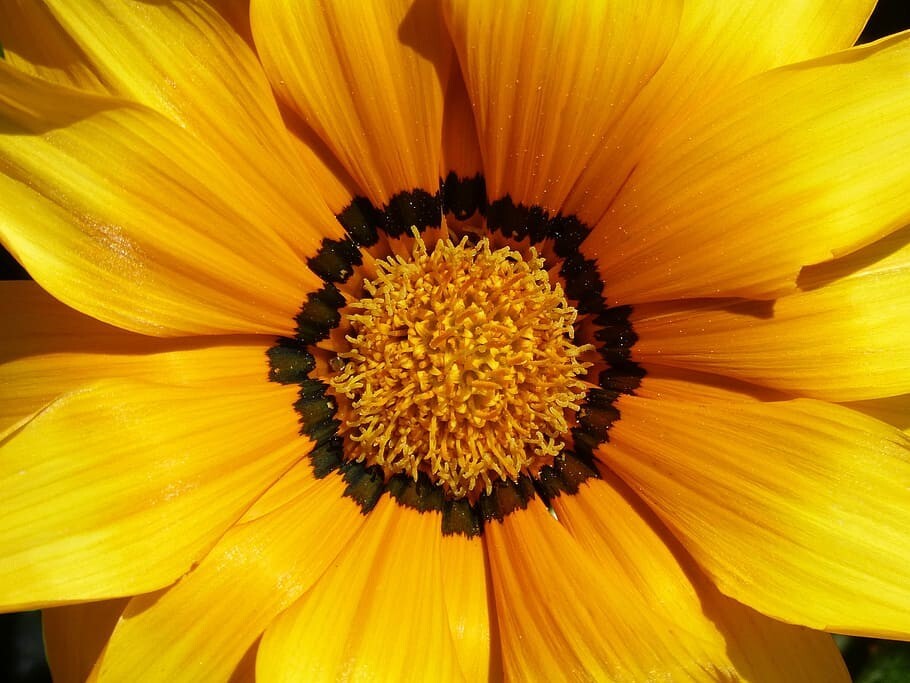 22. Слава новому дню