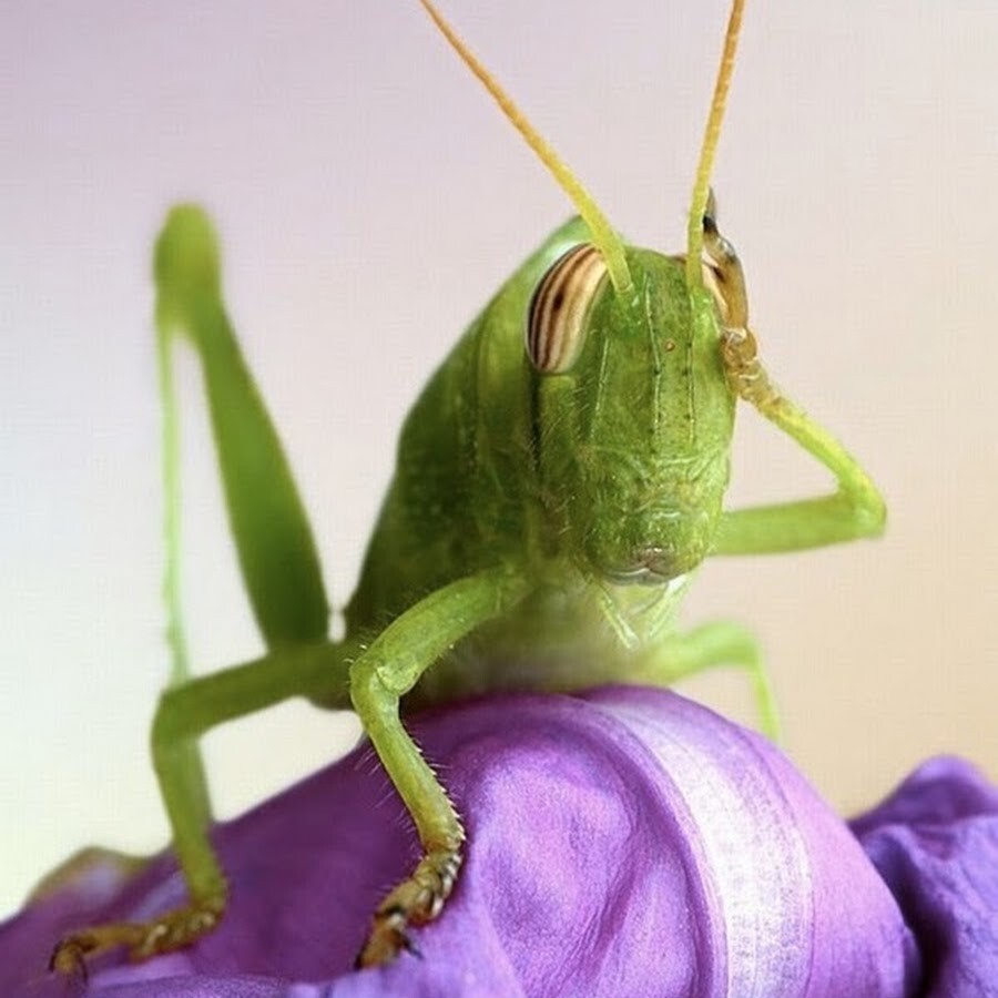 9. Опять забыл