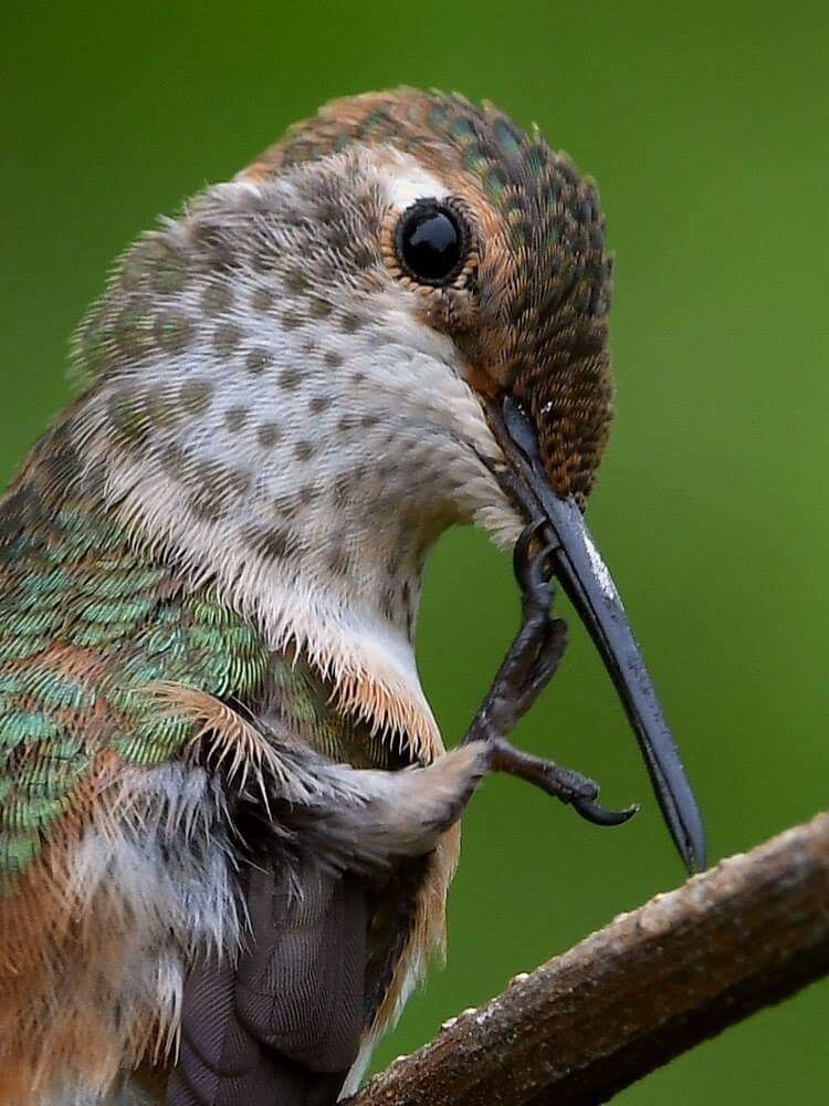 19. Чистота - залог здоровья