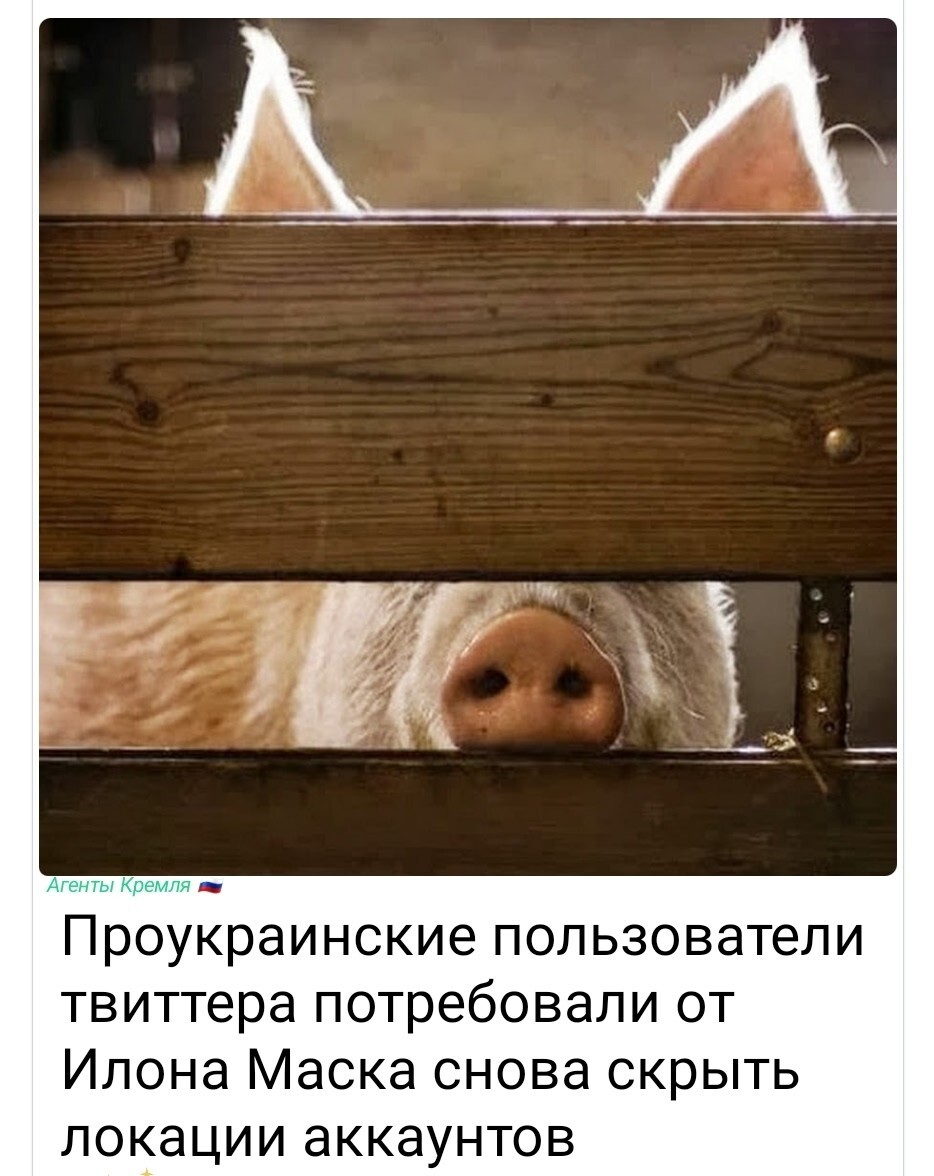 Политическая рубрика от NAZARETH за 26.11.25. Новости, события, комментарии - 1942 /вечерний/