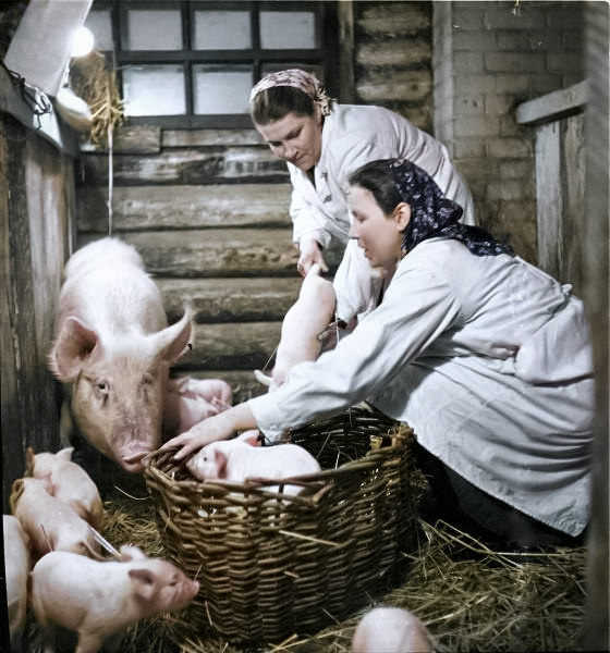 Подборка простых и потрясающих фотографий эпохи СССР