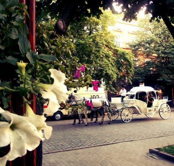 Атмосферные фотографии характерные для города Одессы