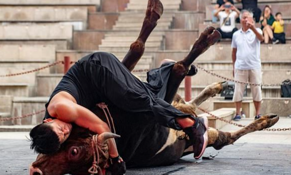 Китайская борьба с быком голыми руками