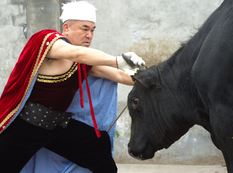 Как все влюбились в драку с быком